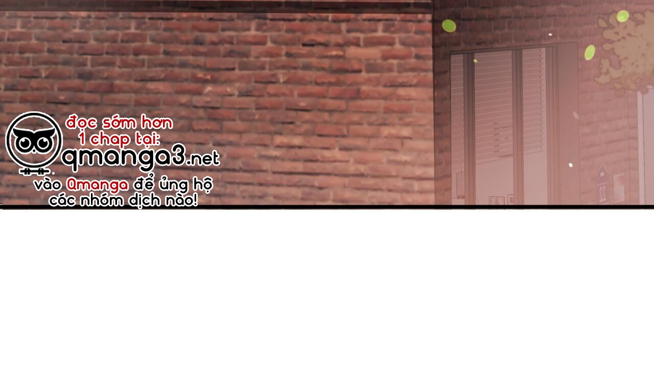 những chú thỏ của hapypy chapter 51 5