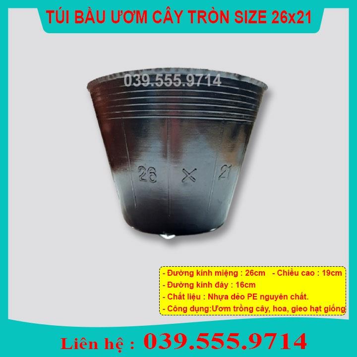 1KG TÚI BẦU NHỰA MỀM ƯƠM CÂY SZE 26X21 - DẺO DAI
