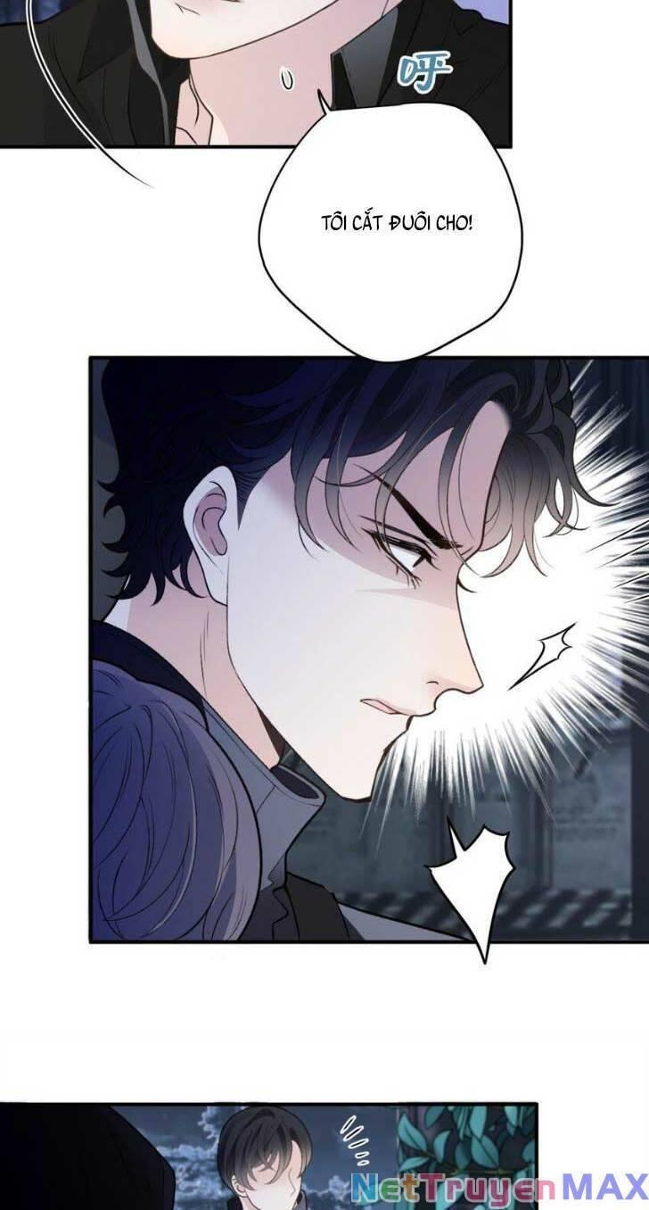 một vợ yêu, một bé con chapter 275 20