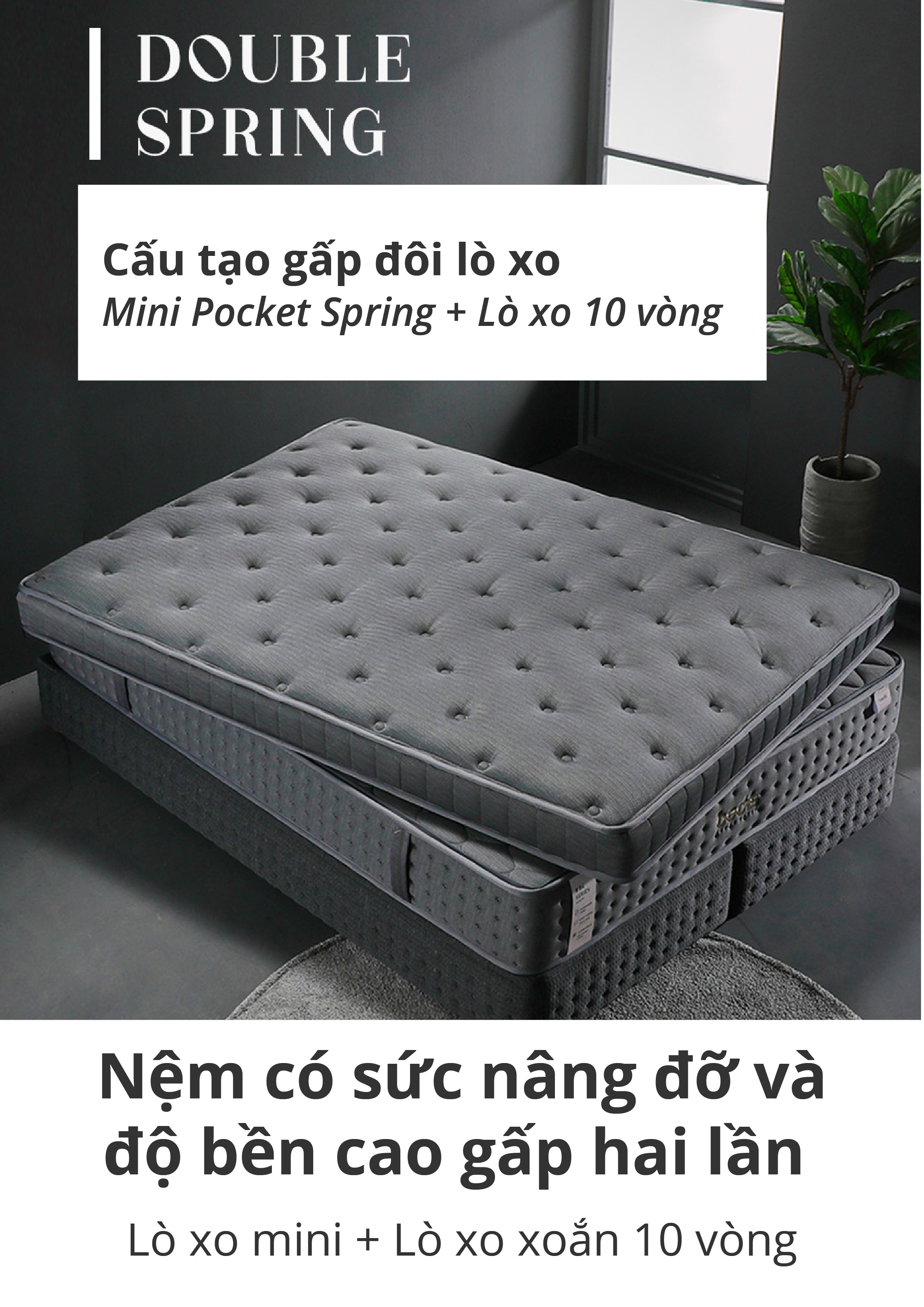 NỆM LÒ XO BEDIS BELUGA