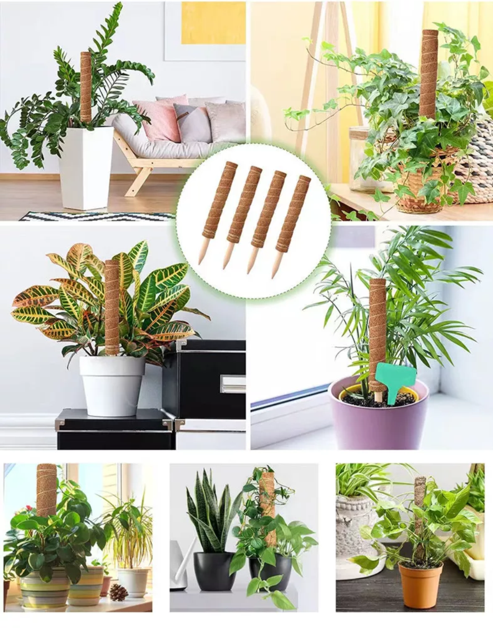 Trụ giá thể xơ dừa.Thích hợp cho các loại cây cảnh, cây dây leo.1 trụ dài 43cm.Giúp cây phát triển tốt