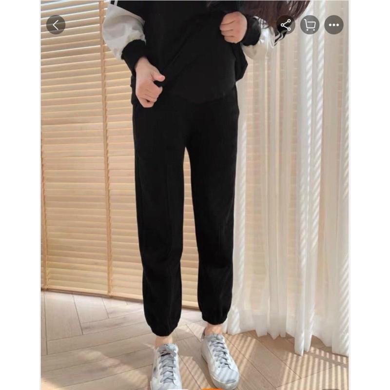 Quần nỉ bầu dáng bom co chun