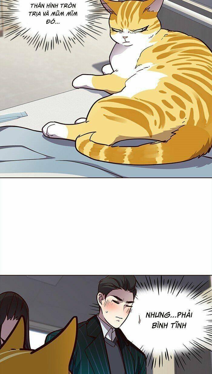 biến thân thành mèo chapter 28 36