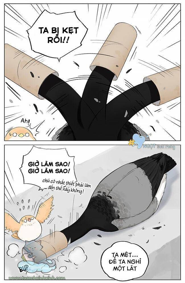 chim sẻ gọi ngỗng trời chapter 3 5