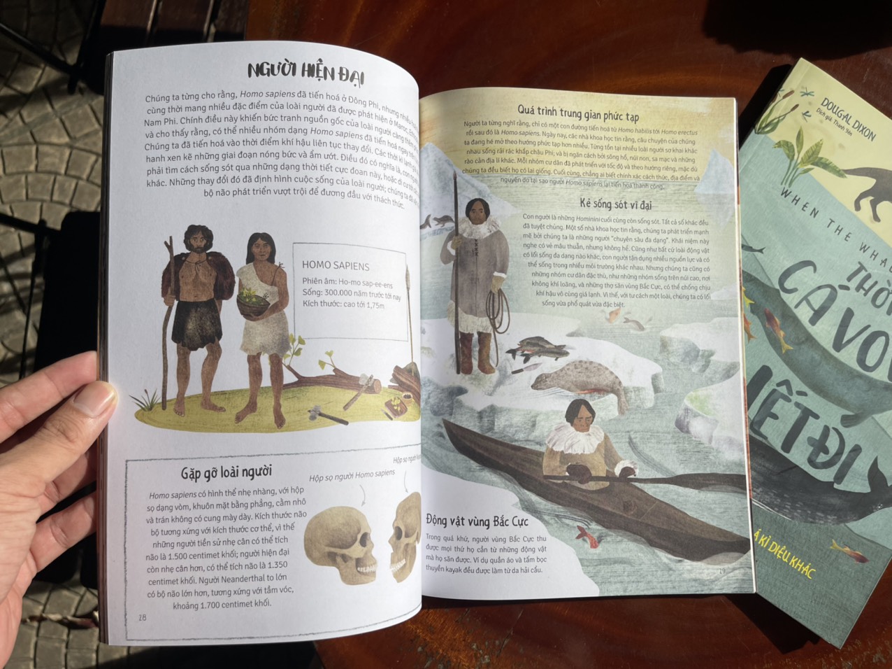 THỜI CÁ VOI BIẾT ĐI – KHI CHÚNG TA THÀNH NGƯỜI – In màu toàn bộ - Huy Hoàng Book