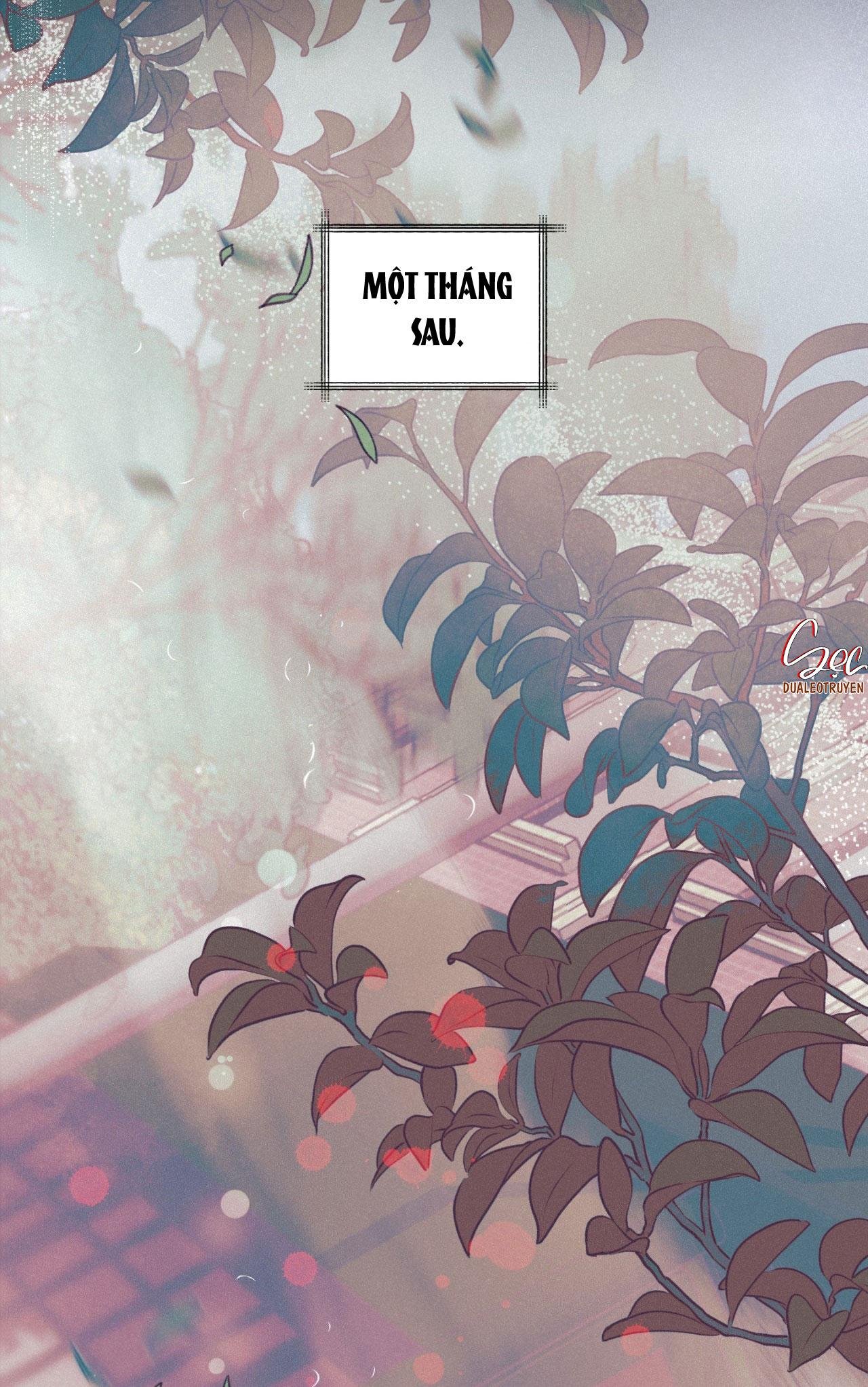 lời nói dối đẫm máu chapter 42 52