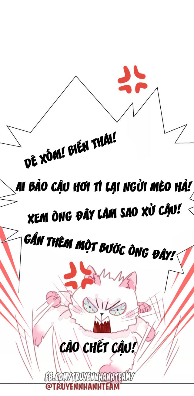 xã hội mèo chapter 1 47