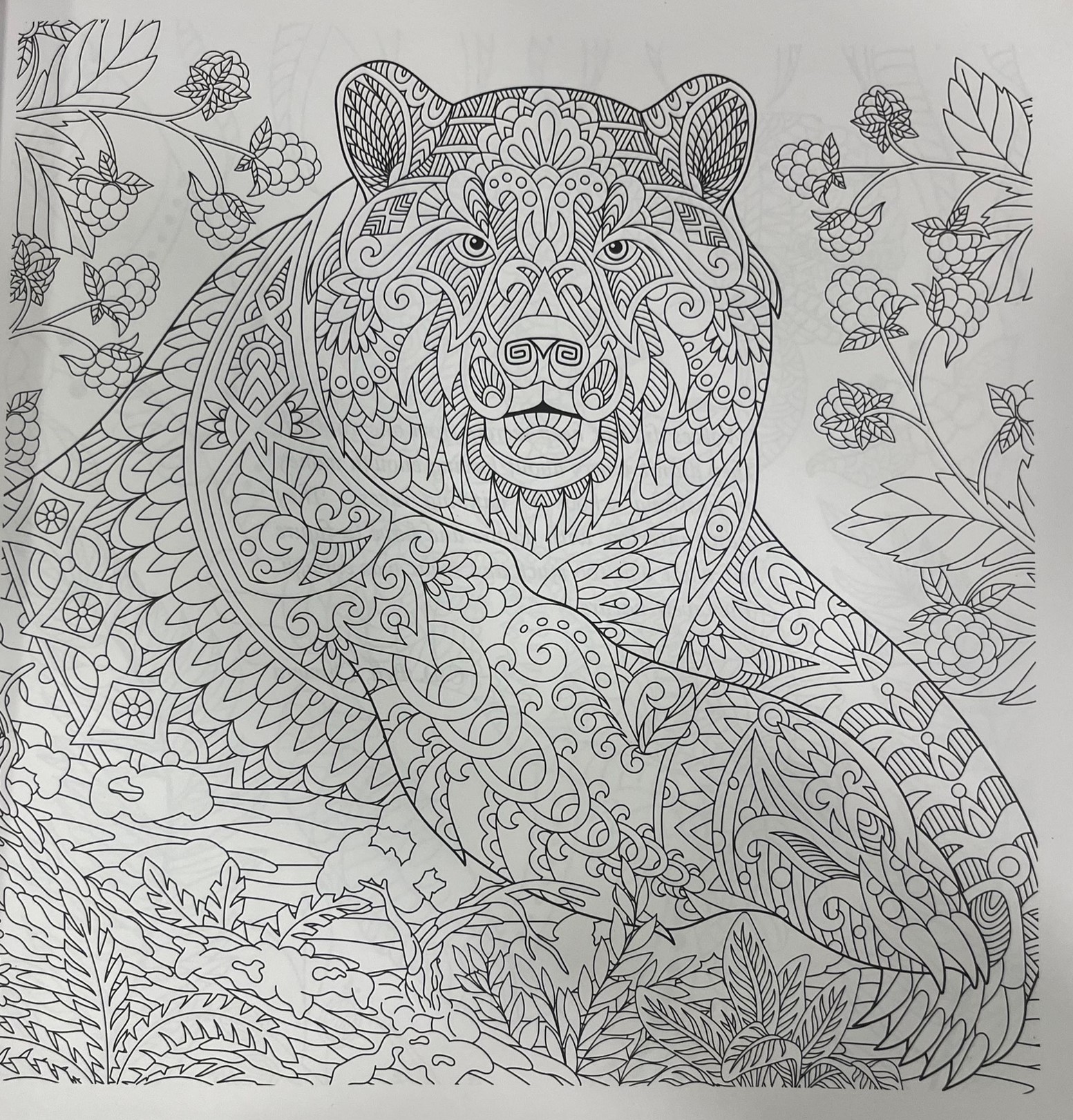 Animals - Adults Colouring Book For Adults