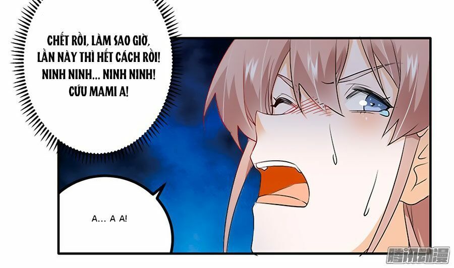 tổng tài đích thiên giới manh thê chapter 18 23