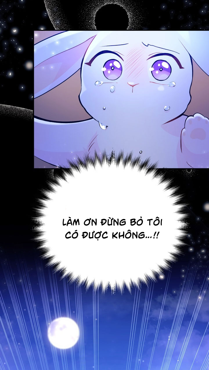 mối liên kết giữa báo đen và bé thỏ chapter 1 22