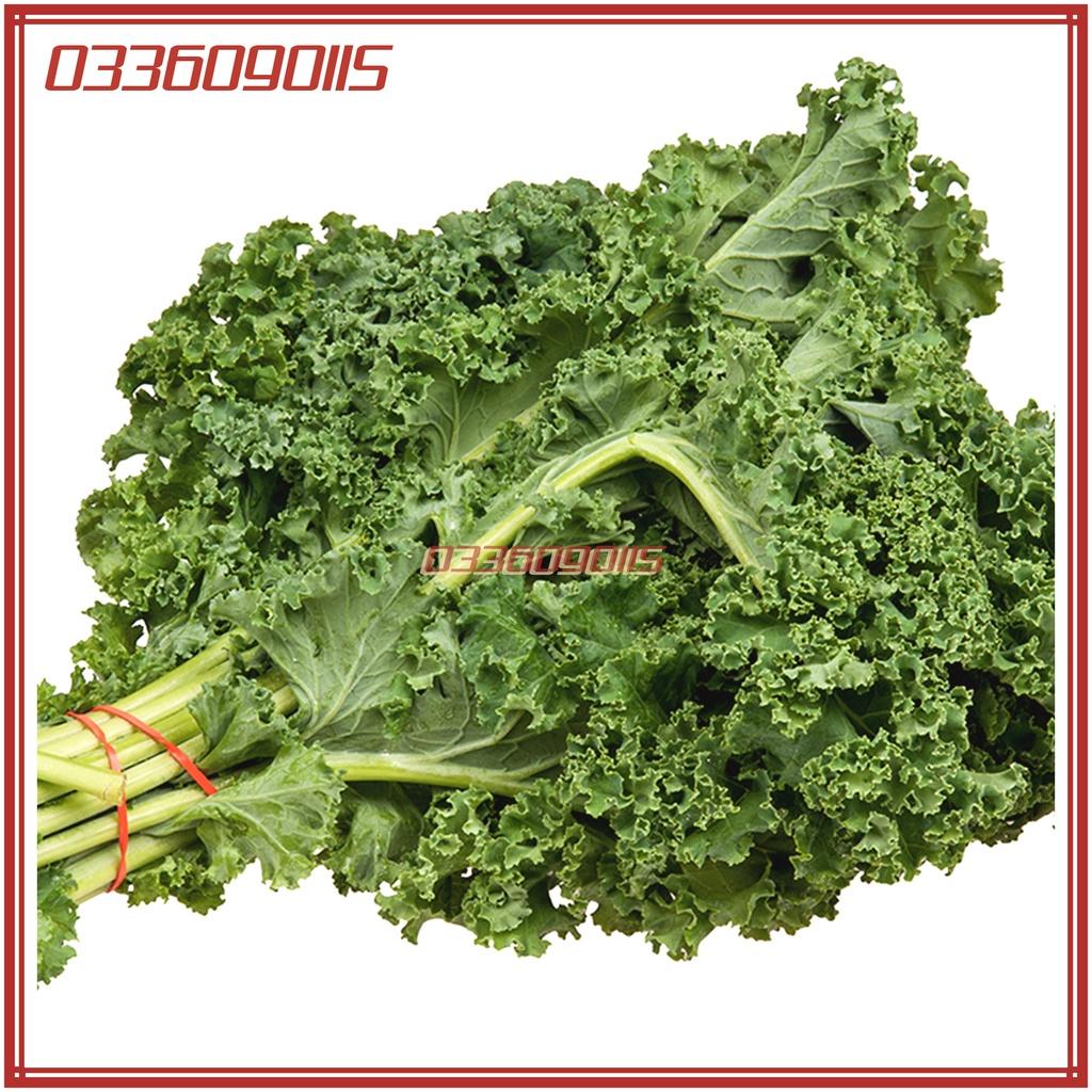 2gam Hạt gióng rau cải lá xoăn kale - hạt giống chất lượng tuyển chọn loại 1