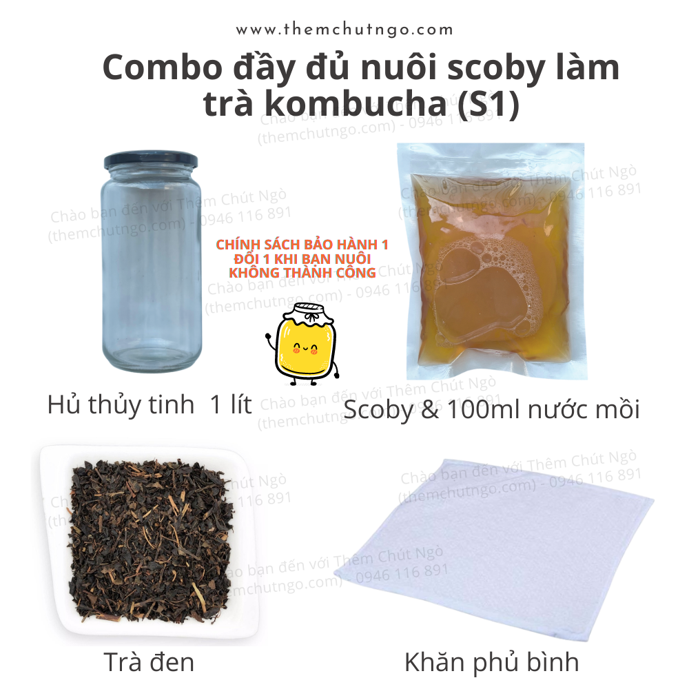 Combo Trà Kombucha 2L đầy đủ nguyên liệu nuôi Scoby làm trà Kombucha (dùng để làm 1,5 lít)