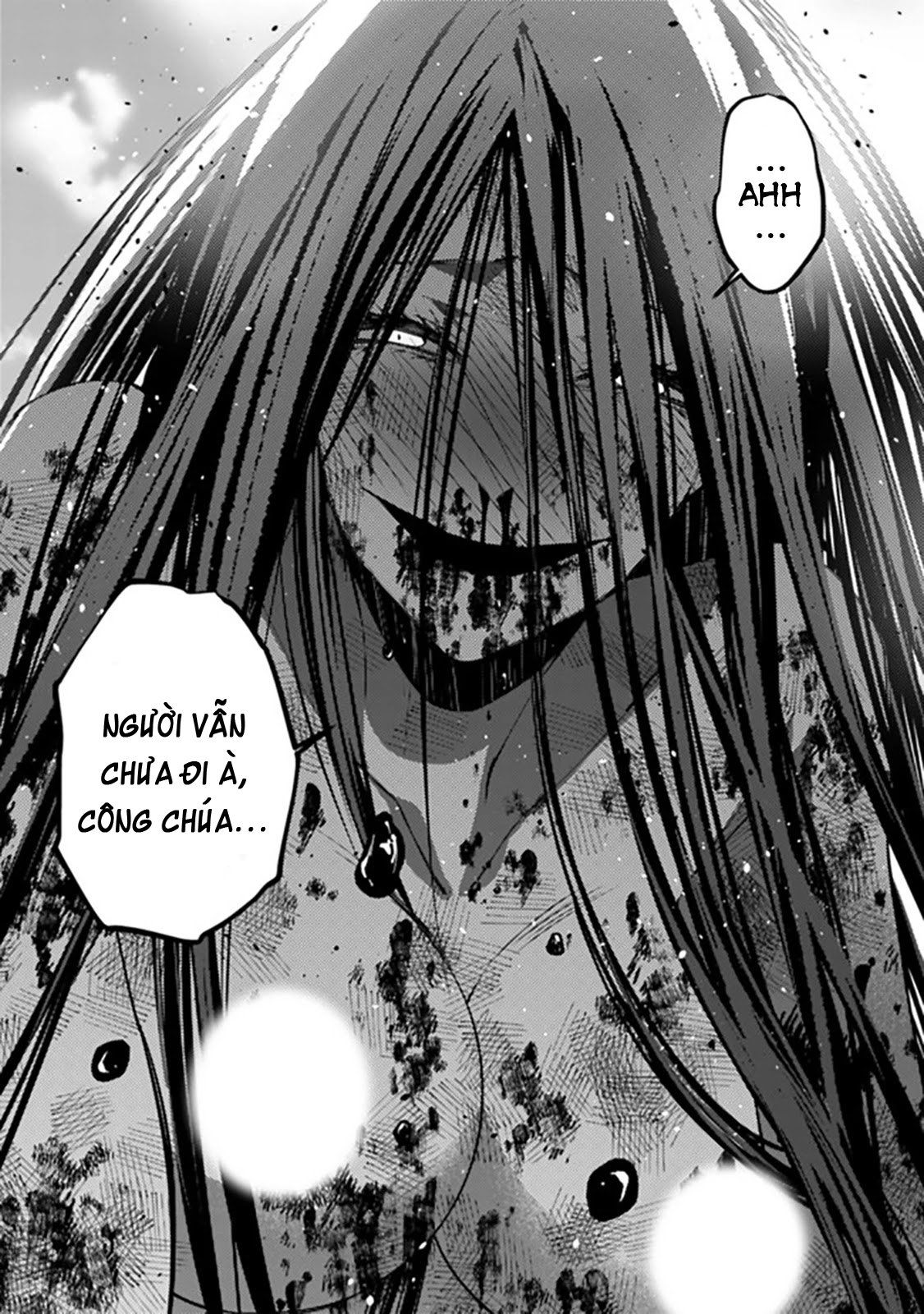 sự trỗi dậy của anh hùng hắc ám chapter 31 25