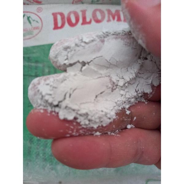 1kg vôi DOLOMITE chuyên dùng cho ốc bưu nuôi, mềm vỏ, chậm lớn..