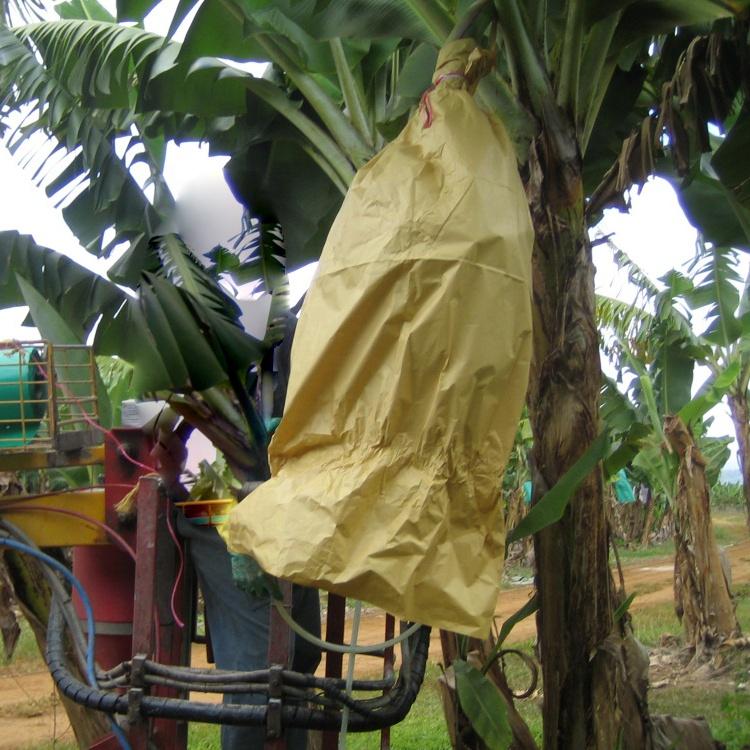 Bao Giấy Bọc Trái Cây Chống Côn Trùng