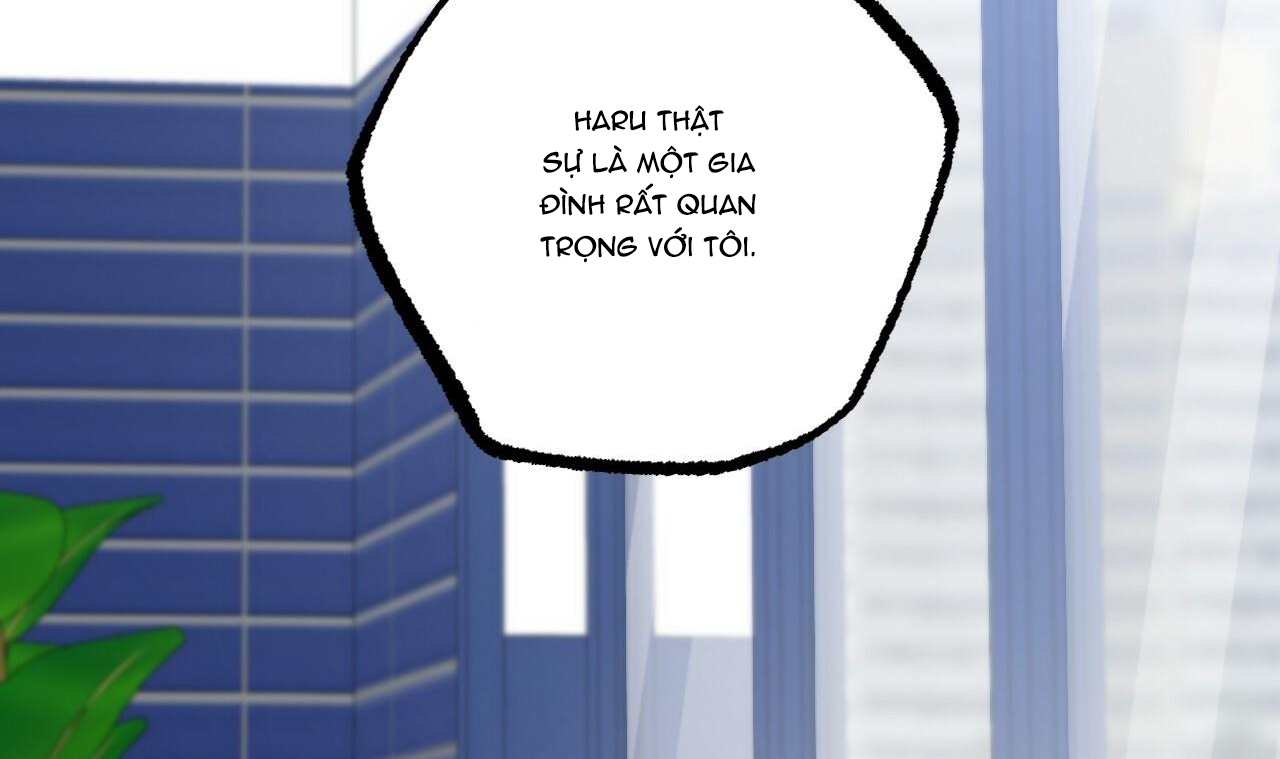 đàn thỏ của habibi chapter 34 165