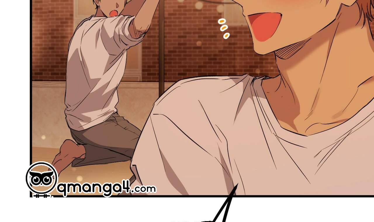 những chú thỏ của hapypy chapter 56 174