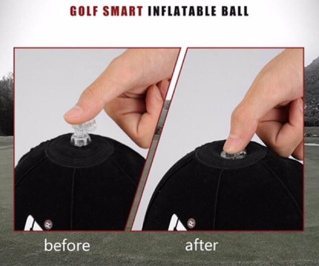 Dụng Cụ Hỗ Trợ Swing Smart Ball - PGM