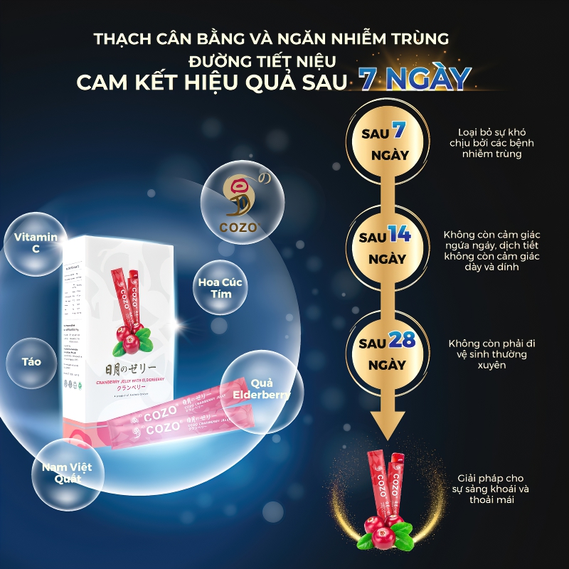 Thạch Giúp Cân Bằng Và Ngăn Nhiễm Trùng Đường Tiết Niệu COZO Cranberry Jelly Chiết Xuất Nam Việt Quất Và Elderberry, Tăng Khả Năng Miễn Dịch