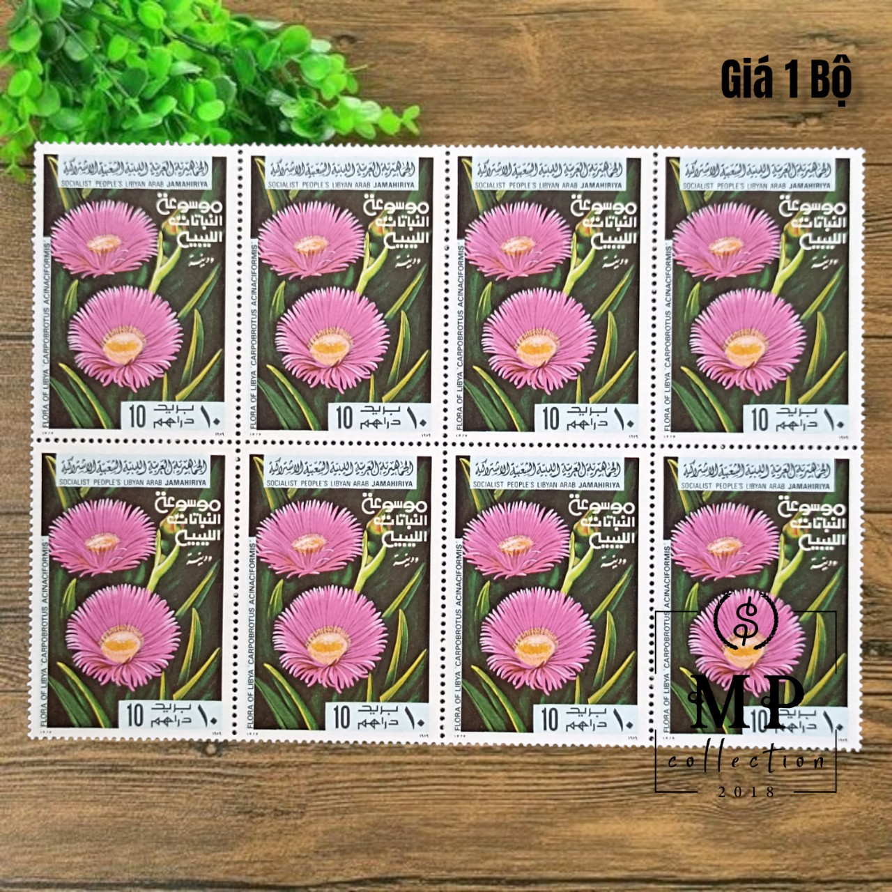 Bộ sưu tầm 6 tem hoa Libya khác nhau rực rỡ