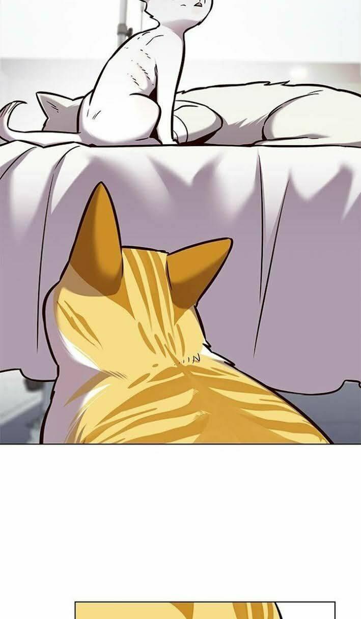 biến thân thành mèo chapter 166 12