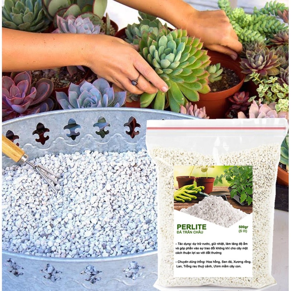 Đá Perlite -chất dinh dưỡng, điều hòa nhiệt độ độ ẩm cho đất trồng-thích hợp để trồng hoa, trồng hoa hồng,sen đá-500gr
