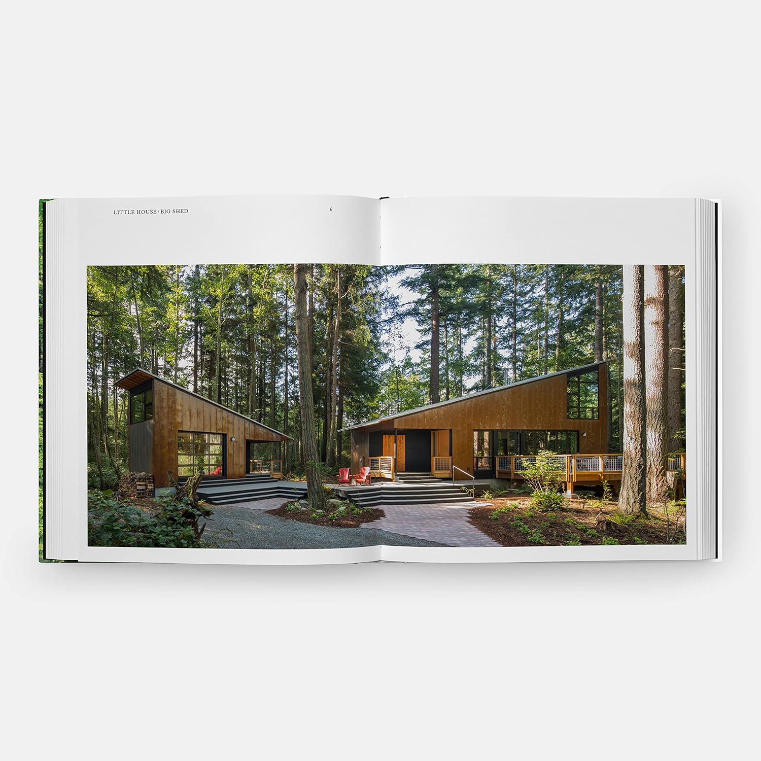 Living in the Forest