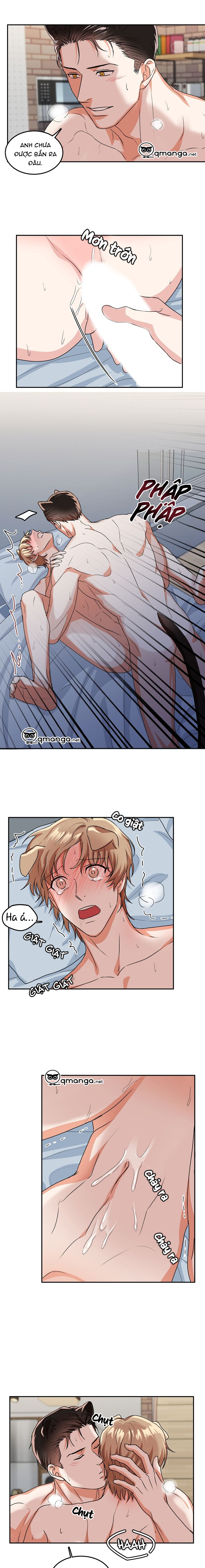 khi cún biết yêu chapter 21 9