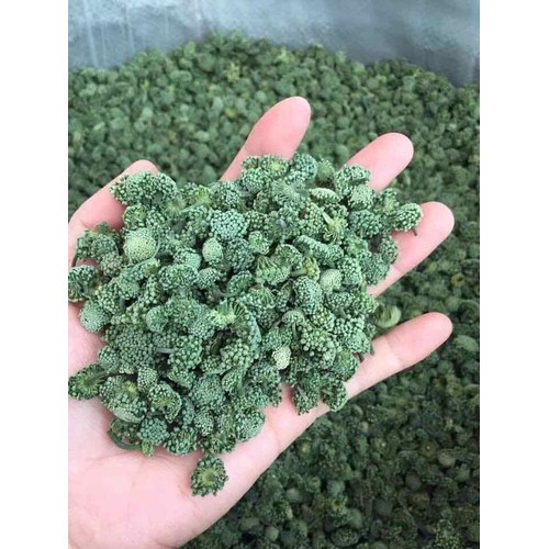 Trà nụ hoa tam thất - Loại cao cấp không cộng - Hủ 500gr