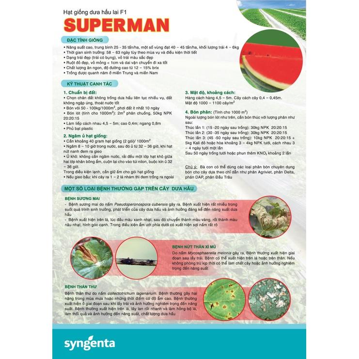 Hạt Giống Dưa hấu lai F1 - SUPERMAN