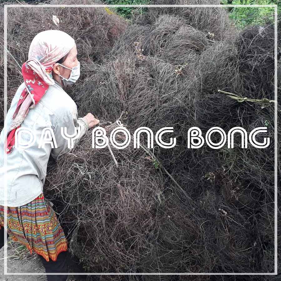 DÂY BÒNG BONG khô sạch đóng gói 1Kg loại 1 - Hàng Công Ty