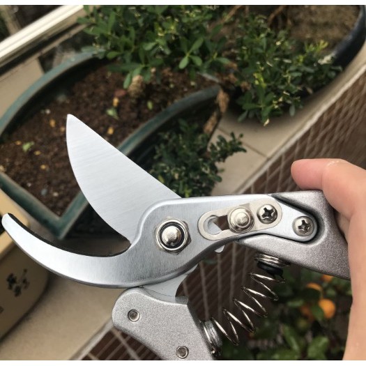 Kéo cắt cành tỉa cây nhật bản siêu sắc SADA 210 tặng kèm 1 lò so thay thế hàng cao câp