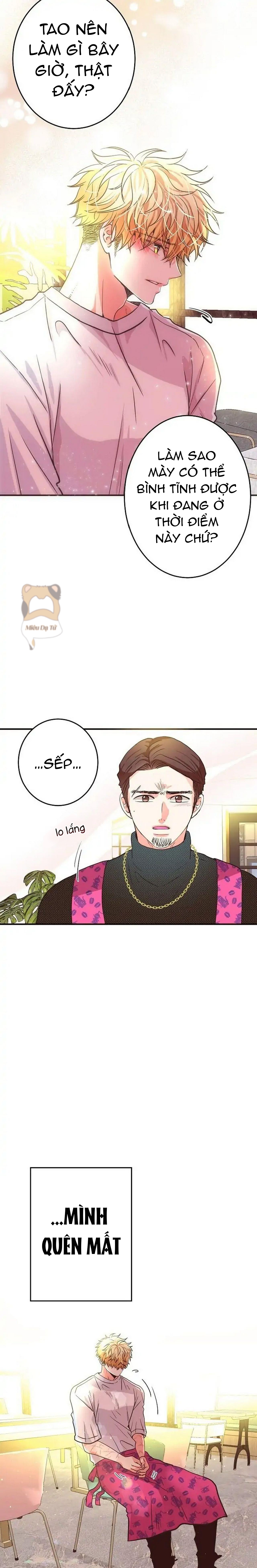 mối quan hệ phù hợp chapter 20 14