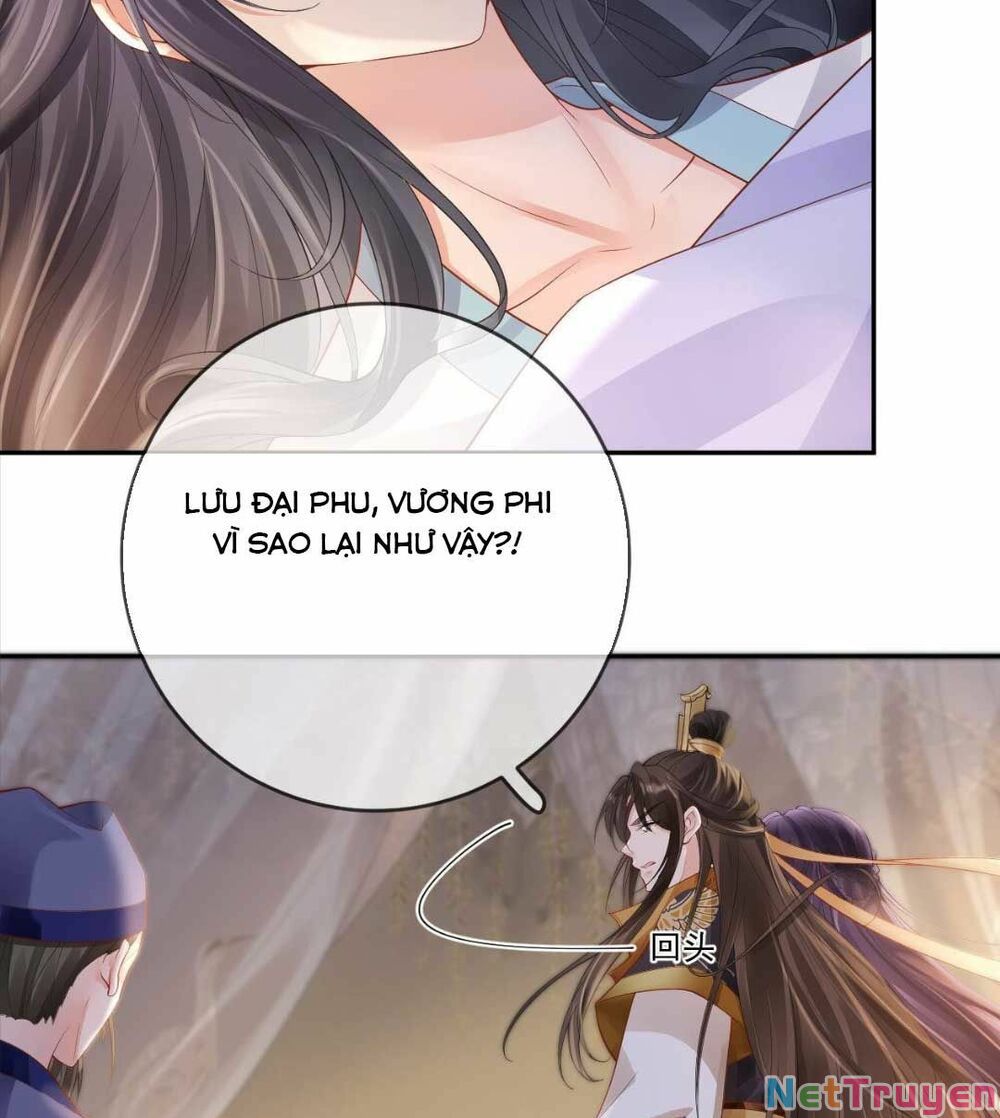 sự trả thù của vương phi chapter 17 25