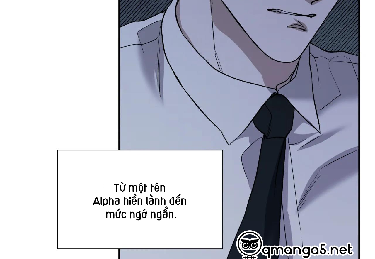 ám ảnh pheromone chapter 42 140
