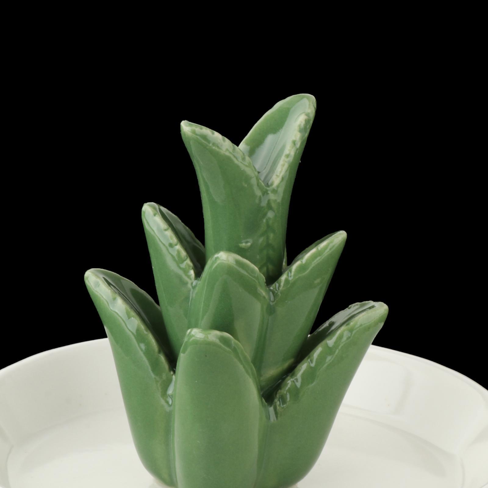 Ceramic Aloe Jewelry Holder Tray Earrings Organizer Decor Gift