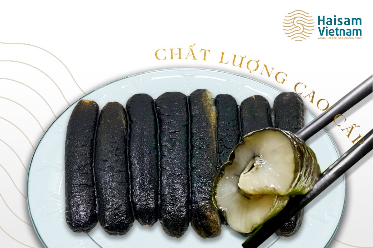 Hải Sâm Cát Ăn Liền