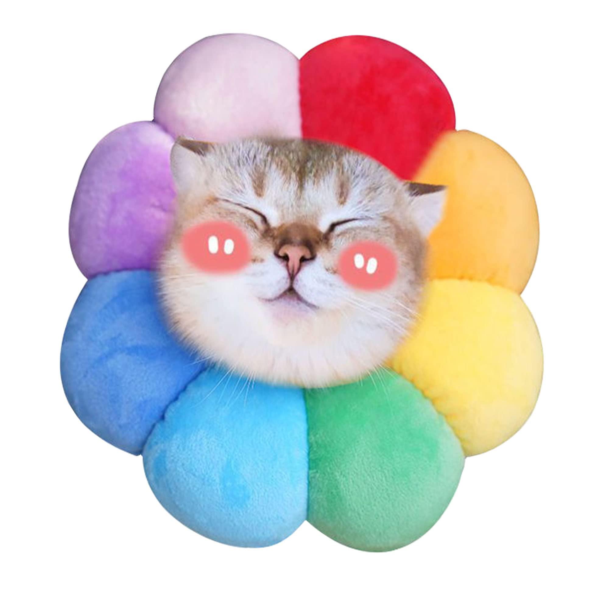 Bảo vệ rò rỉ cổ chó cho chó, chó đau bảo vệ rò rỉ chó, cổ áo mèo, chó phễu, phễu mèo, nước hoa bảo vệ mèo cho mèo, cổ áo cổ mềm