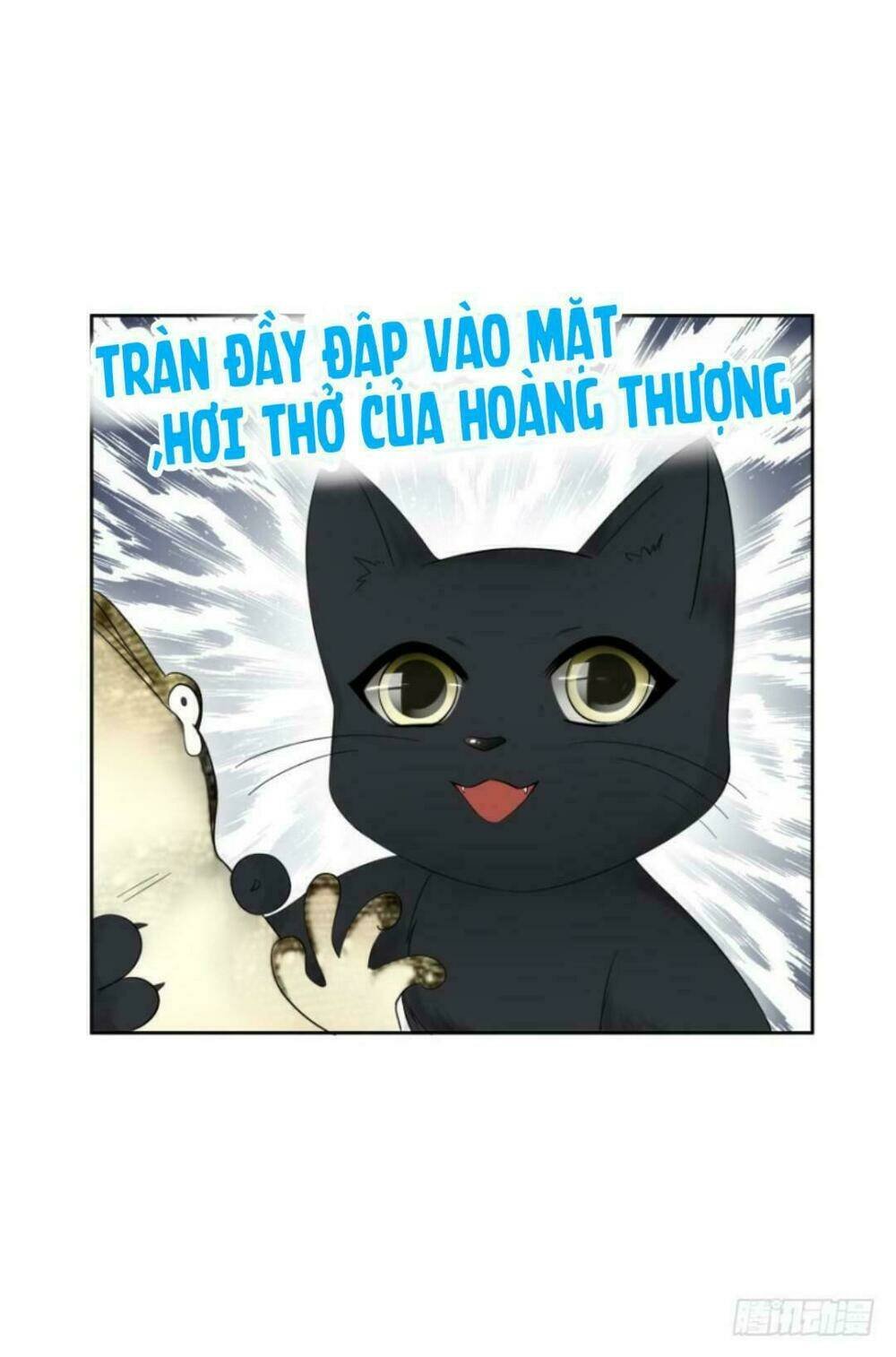 mộ thiếu, lão bà ngươi trọng sinh lại rồi! chapter 17 9