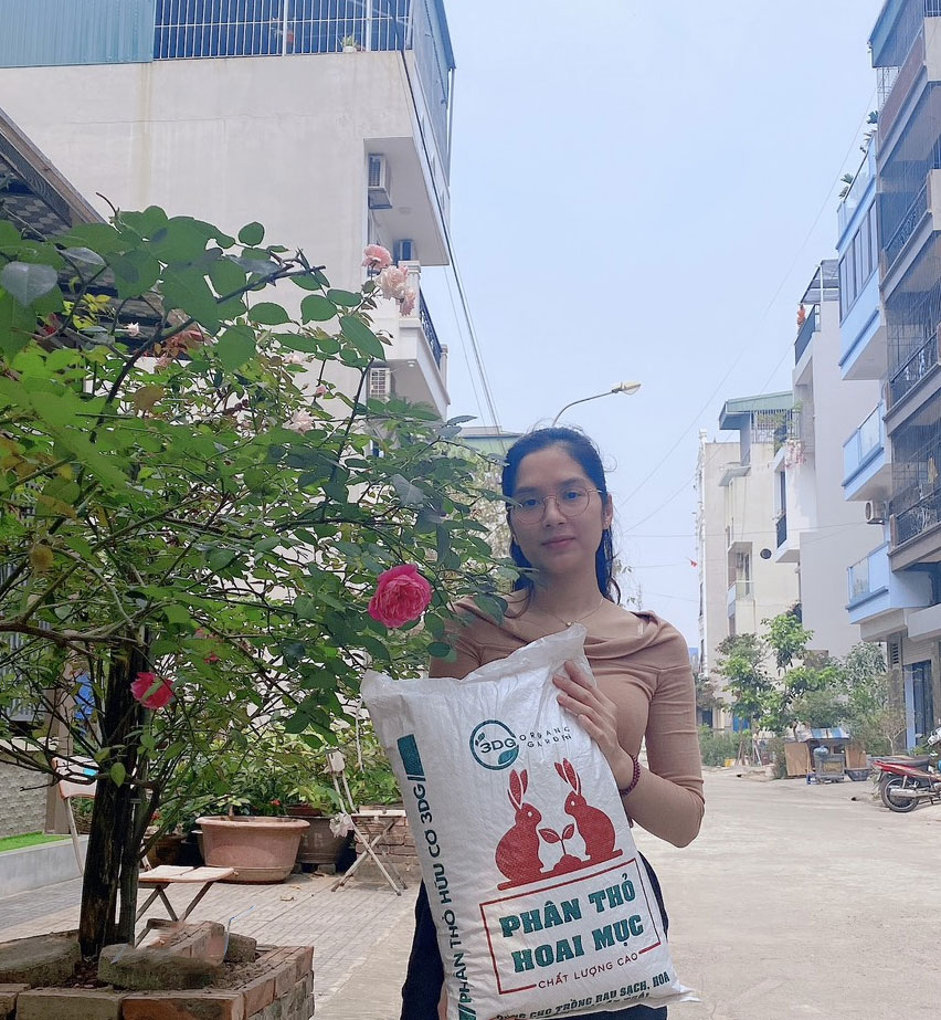 1kg phân thỏ hoai mục bón cho hoa hồng