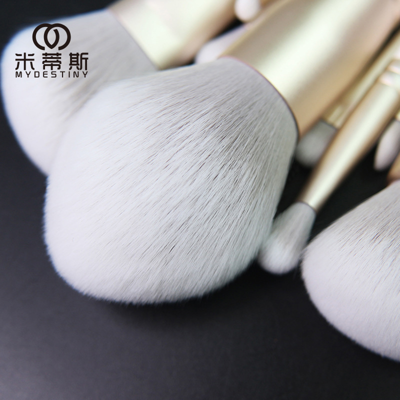 Bộ cọ cá nhân chuyên nghiệp cao cấp 12 cây Mydestiny pro brush set