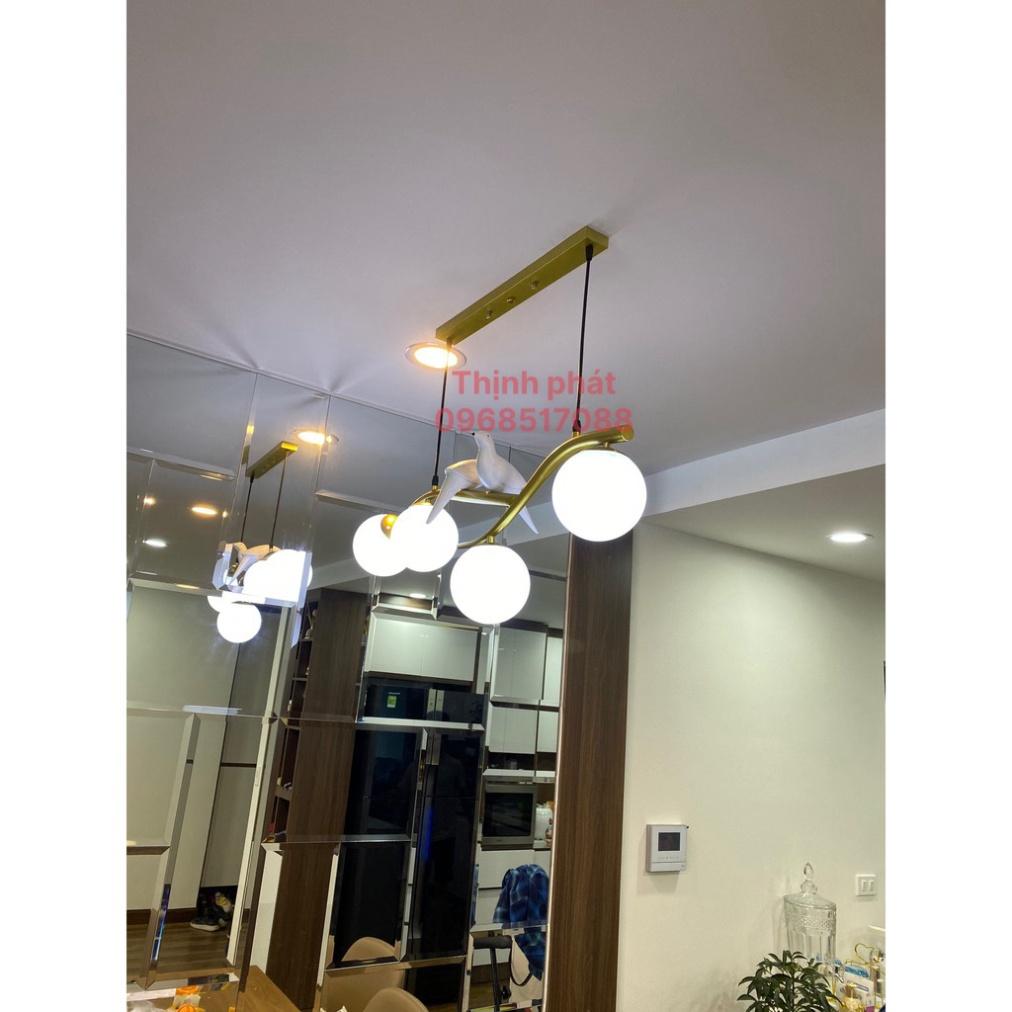 ĐÈN THẢ CHON CHIM TRÊN CÀNH DDT