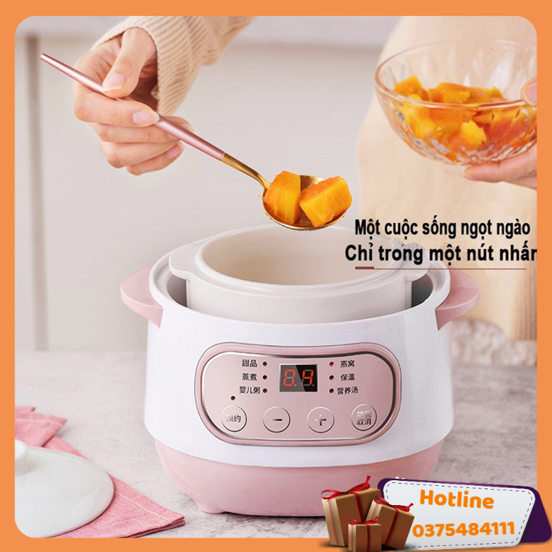 Nồi Nấu Cháo Chậm - Nồi Hầm Cách Thủy Dung Tích 1L, Lòng Nồi Bằng Sứ Giữ Nhiệt Tốt Hơn - Nồi Chưng Yến, Hầm Canh... - Hàng Loại 1