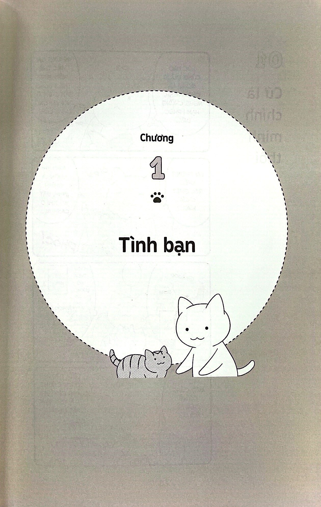 Sách Những bài học cuộc sống từ đám mèo nhà tôi