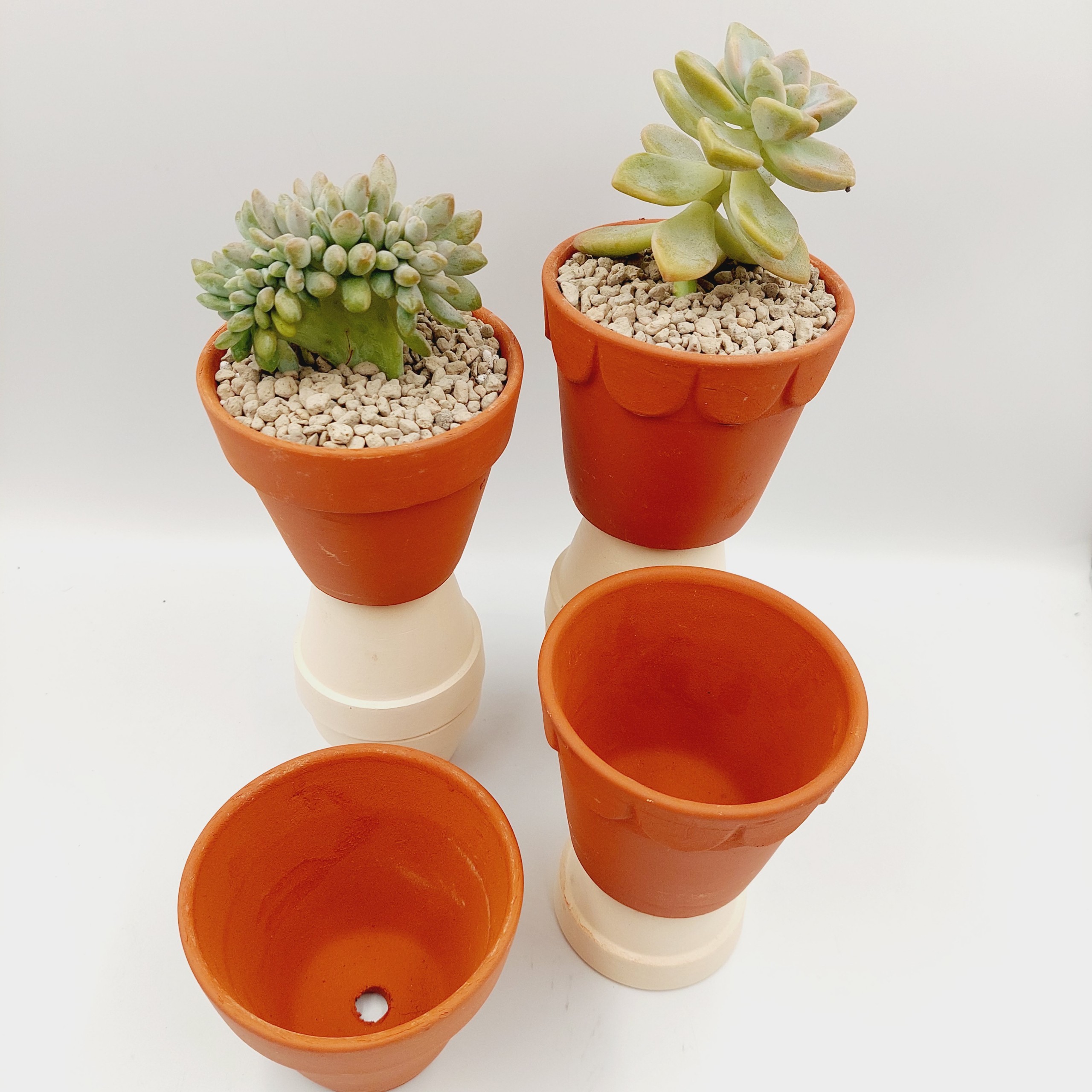 Chậu đất nung, chậu sen đá - Ly gờ 98, miệng chậu 9cm, chiều cao 8cm