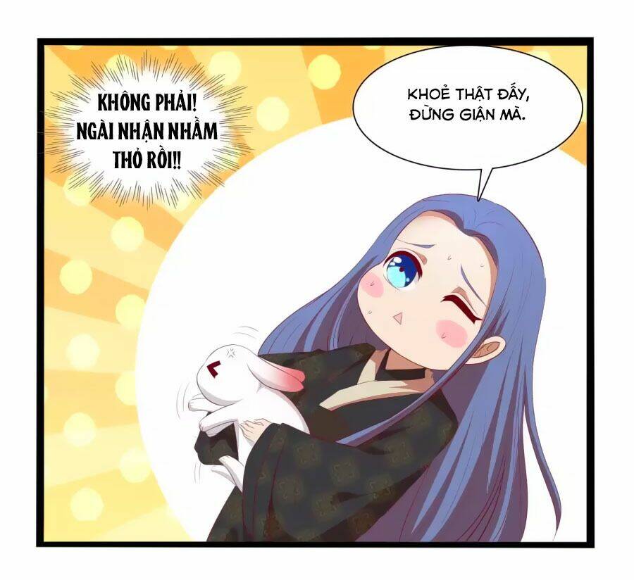thỏ yêu tiểu vương phi chapter 36 4