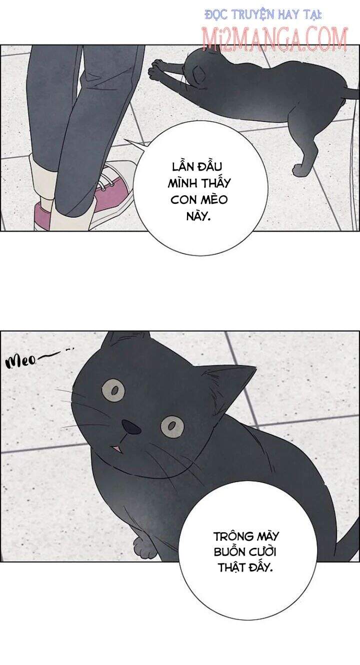 tôi đã cướp mất đêm đầu tiên của nam chính chapter 73.5 24