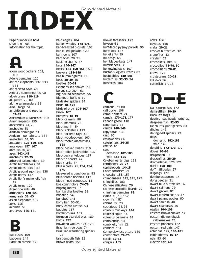 Sách ngoại văn: Our World In Numbers Animals