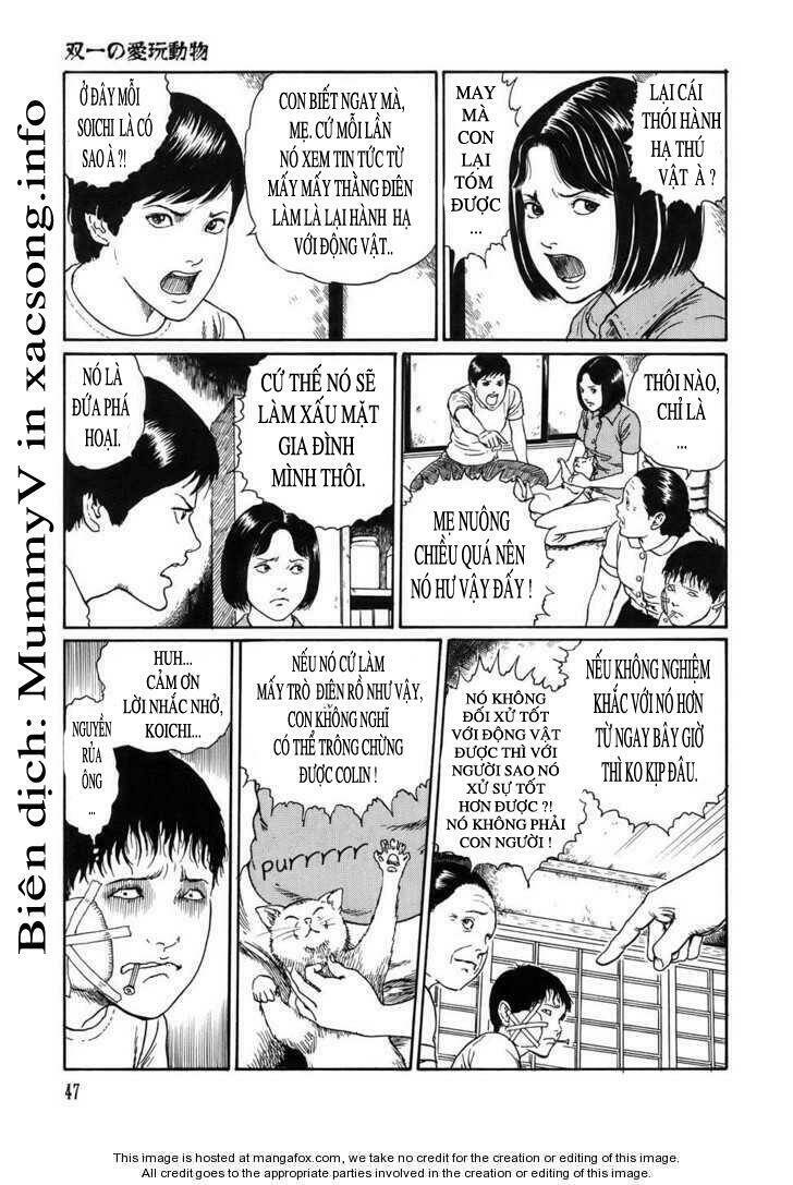 new voices in the dark chapter 2 11