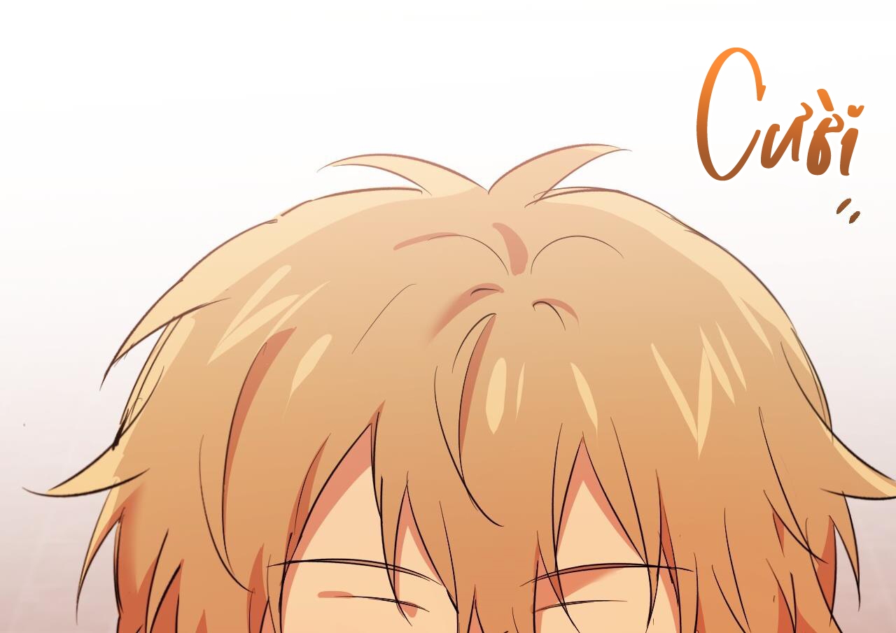 những chú thỏ của hapypy chapter 63 65